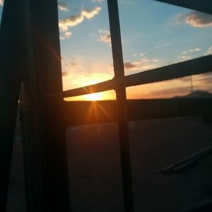 Meet your Posher, Cheyenne